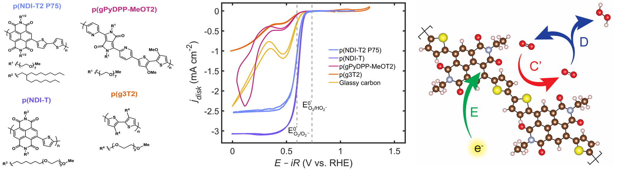 ORR-NDI-T2