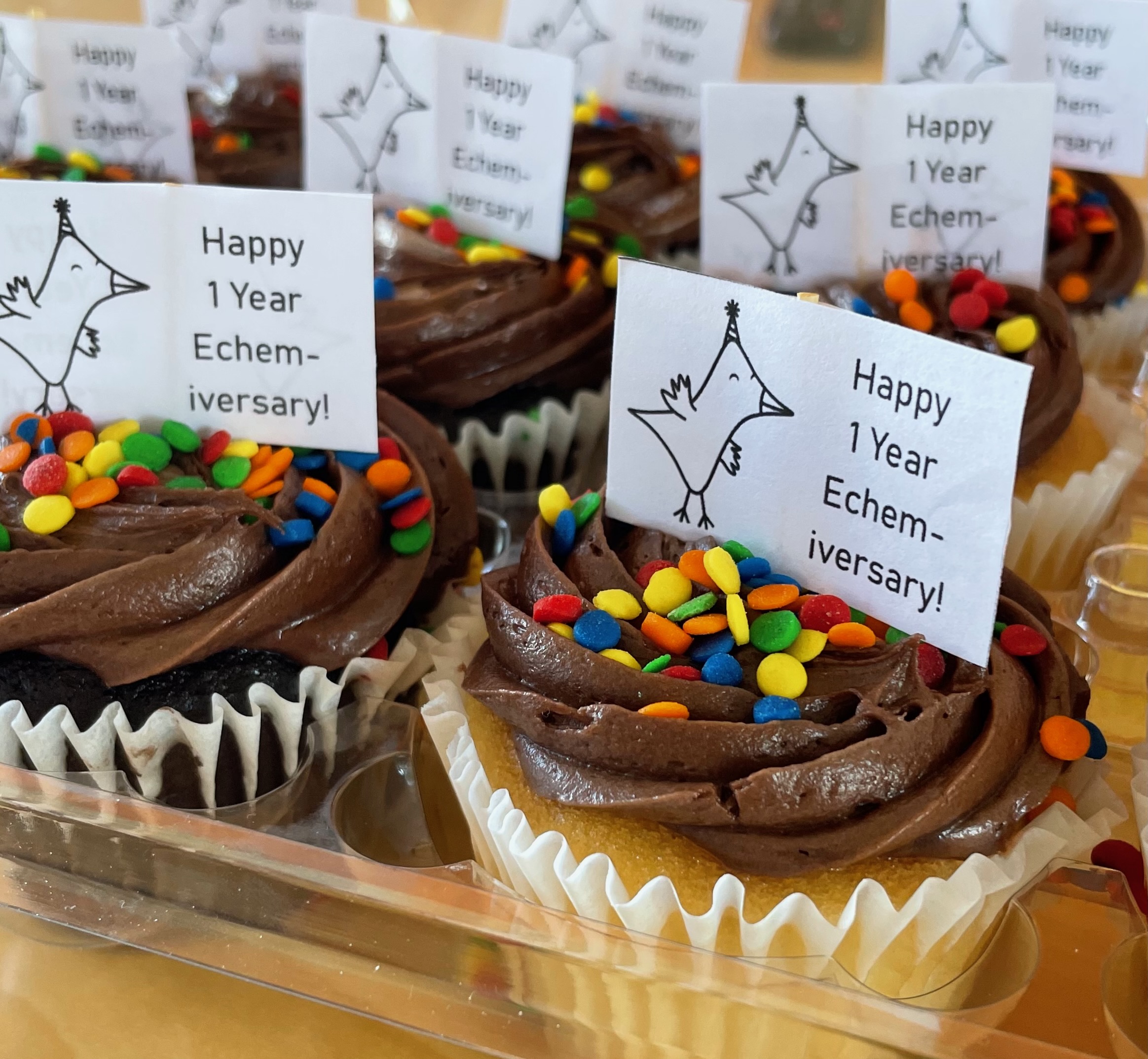 Picture of cupcakes with a sign that says "Happy 1 Year Echem-iversary!"